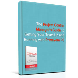 Project control manager описание должности